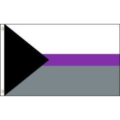 Pride Flag Demisexual